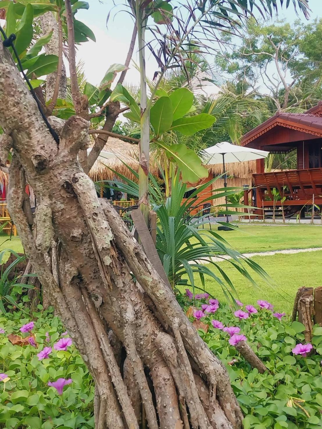 Walden Koh Lanta - Tiny Homes By The Sea Buitenkant foto